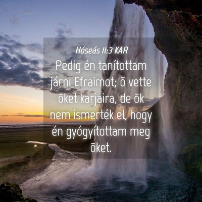 Picture 04 - Hóseás 11:3 KAR - Pedig én tanítottam járni Efraimot; õ vette - Bible Verse Picture