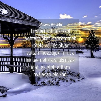 Picture 04 - Hóseás 11:4 KAR - Emberi kötelékekkel vontam õket, szeretetnek - Bible Verse Picture