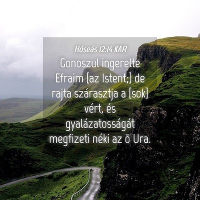 Picture 04 - Hóseás 12:14 KAR - Gonoszul ingerelte Efraim [az Istent;] de rajta - Bible Verse Picture