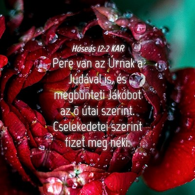 Picture 04 - Hóseás 12:2 KAR - Pere van az Úrnak a Júdával is, és - Bible Verse Picture