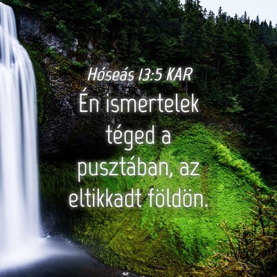 Picture 04 - Hóseás 13:5 KAR - Én ismertelek téged a pusztában, az eltikkadt - Bible Verse Picture
