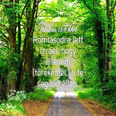 Picture 04 - Hóseás 13:9 KAR - Romlásodra lett Izráel, hogy ellenem - Bible Verse Picture