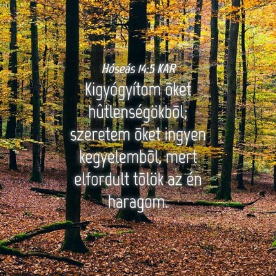 Picture 04 - Hóseás 14:5 KAR - Kigyógyítom õket hûtlenségökbõl; szeretem - Bible Verse Picture