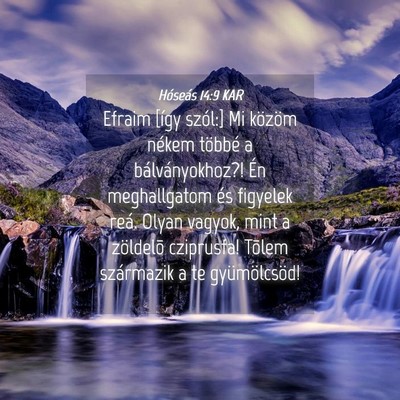 Picture 04 - Hóseás 14:9 KAR - Efraim [így szól:] Mi közöm nékem többé a - Bible Verse Picture