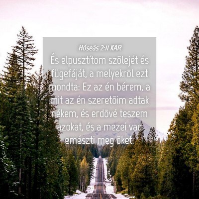 Picture 04 - Hóseás 2:11 KAR - És elpusztítom szõlejét és fügefáját, a - Bible Verse Picture