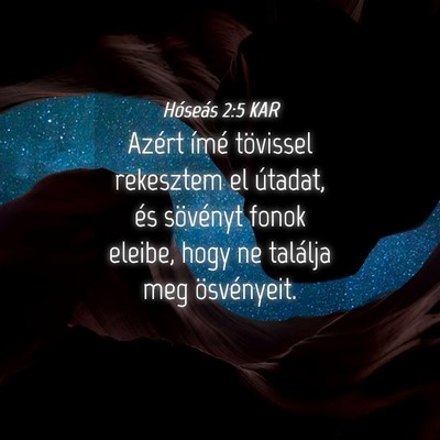 Picture 04 - Hóseás 2:5 KAR - Azért ímé tövissel rekesztem el útadat, és - Bible Verse Picture