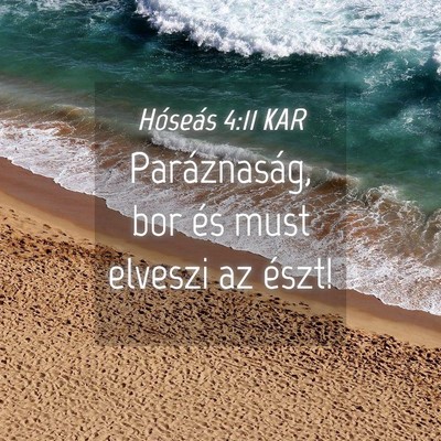 Picture 04 - Hóseás 4:11 KAR - Paráznaság, bor és must elveszi az - Bible Verse Picture