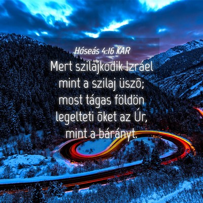 Picture 04 - Hóseás 4:16 KAR - Mert szilajkodik Izráel mint a szilaj üszõ; - Bible Verse Picture