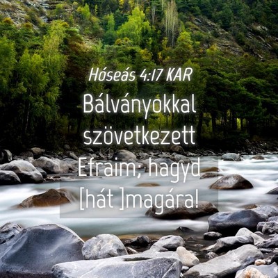 Picture 04 - Hóseás 4:17 KAR - Bálványokkal szövetkezett Efraim; hagyd [hát - Bible Verse Picture