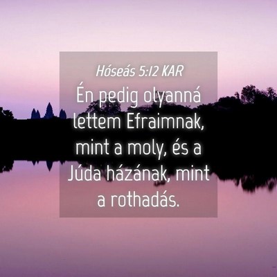 Picture 04 - Hóseás 5:12 KAR - Én pedig olyanná lettem Efraimnak, mint a moly, - Bible Verse Picture