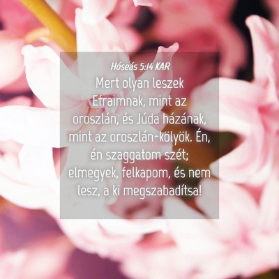 Picture 04 - Hóseás 5:14 KAR - Mert olyan leszek Efraimnak, mint az oroszlán, - Bible Verse Picture