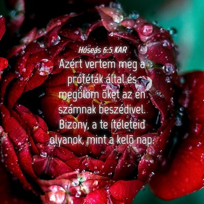 Picture 04 - Hóseás 6:5 KAR - Azért vertem meg a próféták által és - Bible Verse Picture