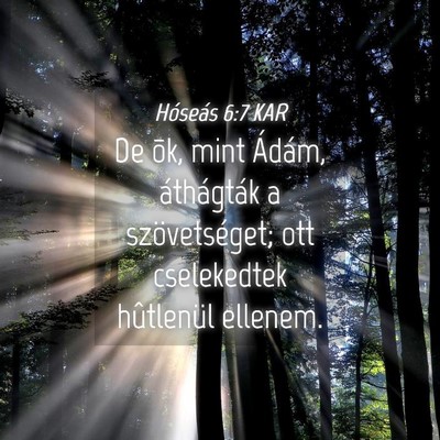 Picture 04 - Hóseás 6:7 KAR - De õk, mint Ádám, áthágták a szövetséget; - Bible Verse Picture
