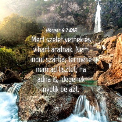 Picture 04 - Hóseás 8:7 KAR - Mert szelet vetnek és vihart aratnak. Nem indul - Bible Verse Picture
