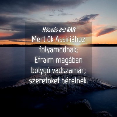 Picture 04 - Hóseás 8:9 KAR - Mert õk Assiriához folyamodnak; Efraim magában - Bible Verse Picture
