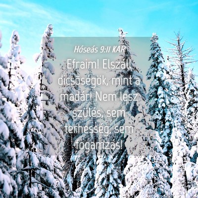 Picture 04 - Hóseás 9:11 KAR - Efraim! Elszáll dicsõségök, mint a madár! - Bible Verse Picture