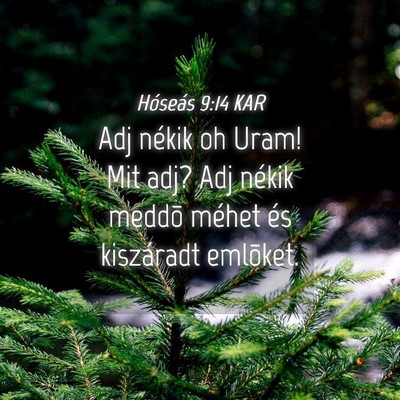 Picture 04 - Hóseás 9:14 KAR - Adj nékik oh Uram! Mit adj? Adj nékik meddõ - Bible Verse Picture