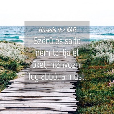 Picture 04 - Hóseás 9:2 KAR - Szérû és sajtó nem tartja el õket; - Bible Verse Picture