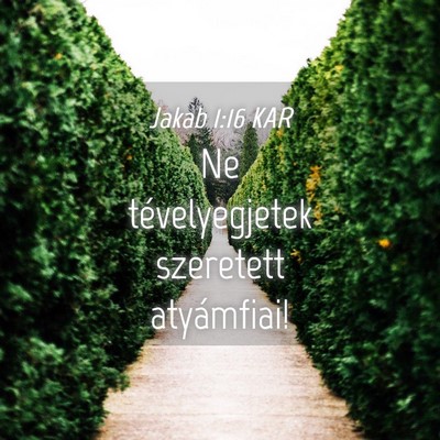 Picture 04 - Jakab 1:16 KAR - Ne tévelyegjetek szeretett - Bible Verse Picture