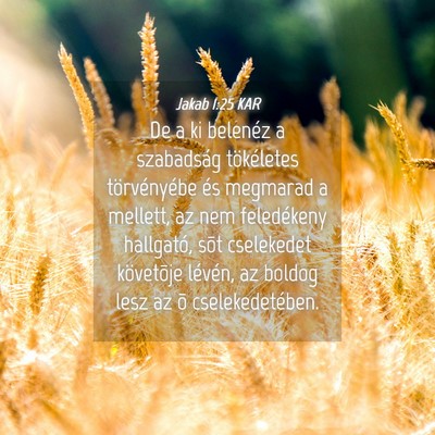 Picture 04 - Jakab 1:25 KAR - De a ki belenéz a szabadság tökéletes - Bible Verse Picture