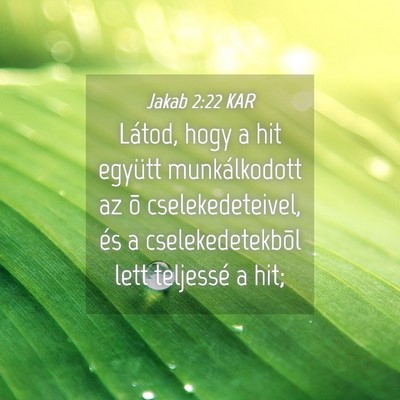 Picture 04 - Jakab 2:22 KAR - Látod, hogy a hit együtt munkálkodott az õ - Bible Verse Picture