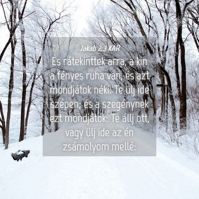 Picture 04 - Jakab 2:3 KAR - És rátekinttek arra, a kin a fényes ruha van, - Bible Verse Picture