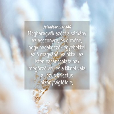 Picture 04 - Jelenések 12:17 KAR - Megharagvék azért a sárkány az asszonyra, és - Bible Verse Picture