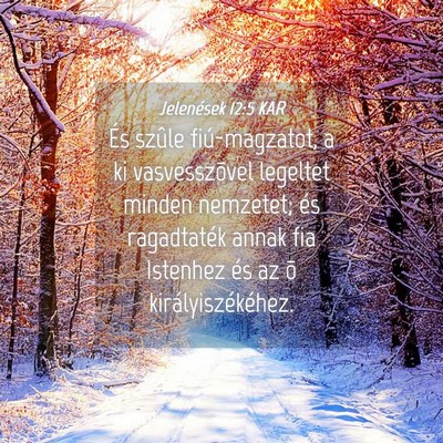 Picture 04 - Jelenések 12:5 KAR - És szûle fiú-magzatot, a ki vasvesszõvel - Bible Verse Picture