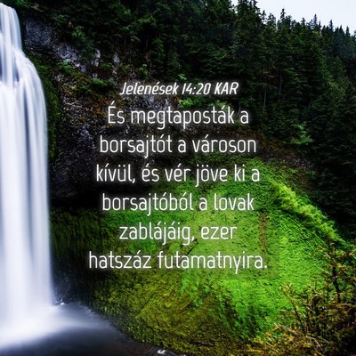 Picture 04 - Jelenések 14:20 KAR - És megtaposták a borsajtót a városon kívül, - Bible Verse Picture