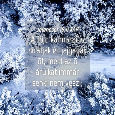 Picture 04 - Jelenések 18:11 KAR - A föld kalmárai is siratják és jajgatják - Bible Verse Picture