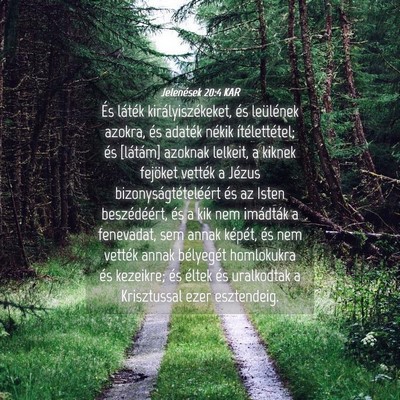Picture 04 - Jelenések 20:4 KAR - És láték királyiszékeket, és leülének - Bible Verse Picture