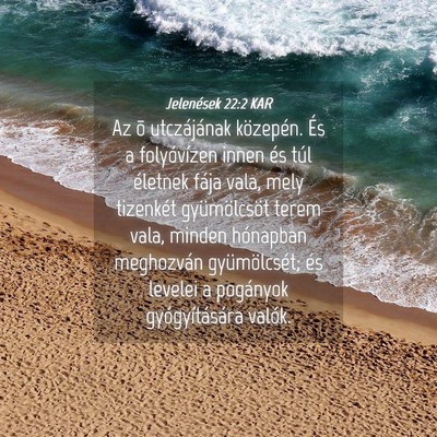 Picture 04 - Jelenések 22:2 KAR - Az õ utczájának közepén. És a folyóvízen - Bible Verse Picture