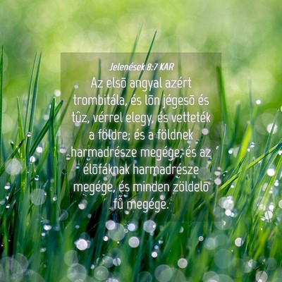 Picture 04 - Jelenések 8:7 KAR - Az elsõ angyal azért trombitála, és lõn - Bible Verse Picture