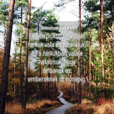 Picture 04 - Jelenések 9:10 KAR - És skorpiókhoz hasonló farkuk vala és - Bible Verse Picture