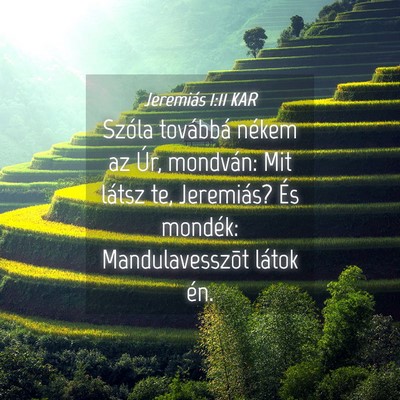 Picture 04 - Jeremiás 1:11 KAR - Szóla továbbá nékem az Úr, mondván: Mit - Bible Verse Picture
