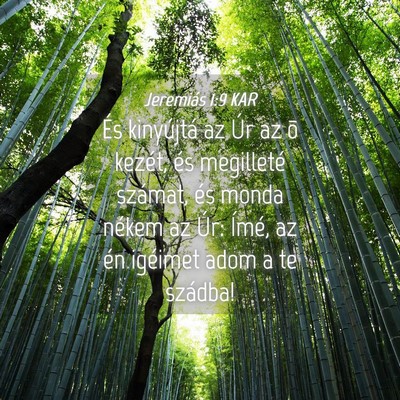Picture 04 - Jeremiás 1:9 KAR - És kinyújtá az Úr az õ kezét, és - Bible Verse Picture