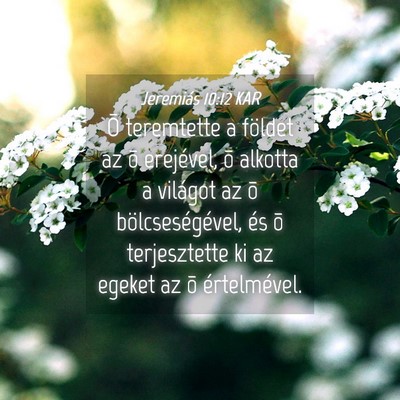 Picture 04 - Jeremiás 10:12 KAR - Õ teremtette a földet az õ erejével, õ - Bible Verse Picture