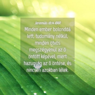 Picture 04 - Jeremiás 10:14 KAR - Minden ember bolonddá lett, tudomány nélkül, - Bible Verse Picture