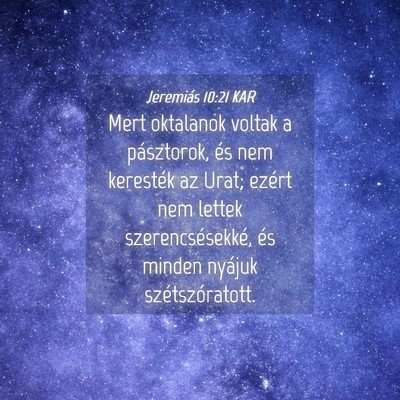 Picture 04 - Jeremiás 10:21 KAR - Mert oktalanok voltak a pásztorok, és nem - Bible Verse Picture