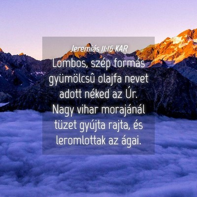 Picture 04 - Jeremiás 11:16 KAR - Lombos, szép formás gyümölcsû olajfa nevet - Bible Verse Picture