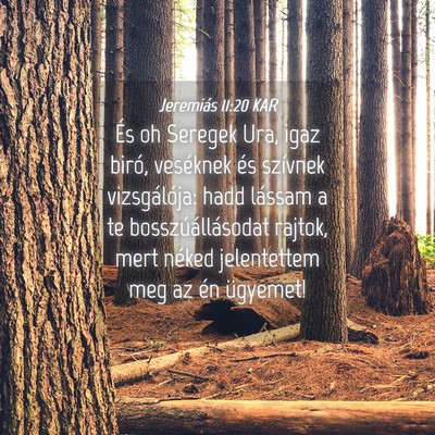 Picture 04 - Jeremiás 11:20 KAR - És oh Seregek Ura, igaz biró, veséknek és - Bible Verse Picture