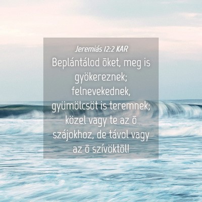Picture 04 - Jeremiás 12:2 KAR - Beplántálod õket, meg is gyökereznek; - Bible Verse Picture