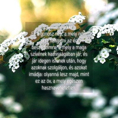 Picture 04 - Jeremiás 13:10 KAR - Ez a gonosz nép, a mely nem akar hallgatni az - Bible Verse Picture