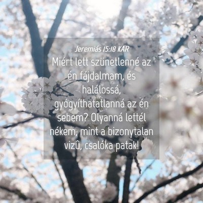 Picture 04 - Jeremiás 15:18 KAR - Miért lett szünetlenné az én fájdalmam, és - Bible Verse Picture