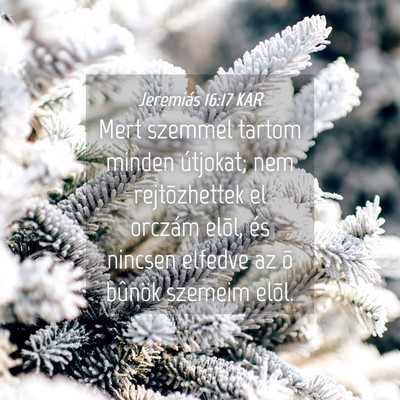 Picture 04 - Jeremiás 16:17 KAR - Mert szemmel tartom minden útjokat; nem - Bible Verse Picture