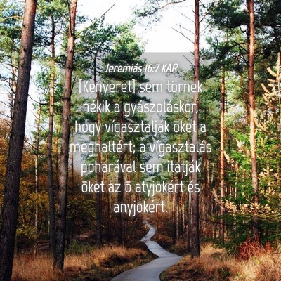 Picture 04 - Jeremiás 16:7 KAR - [Kenyeret] sem törnek nékik a gyászoláskor, - Bible Verse Picture