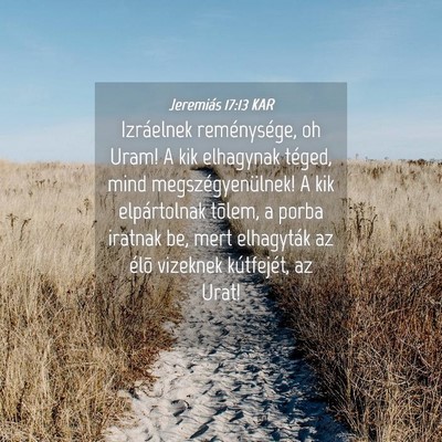Picture 04 - Jeremiás 17:13 KAR - Izráelnek reménysége, oh Uram! A kik elhagynak - Bible Verse Picture