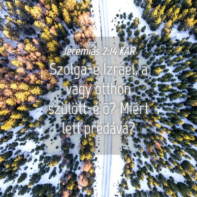 Picture 04 - Jeremiás 2:14 KAR - Szolga-é Izráel, a vagy otthon szülött-é õ? - Bible Verse Picture
