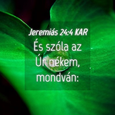 Picture 04 - Jeremiás 24:4 KAR - És szóla az Úr nékem, - Bible Verse Picture