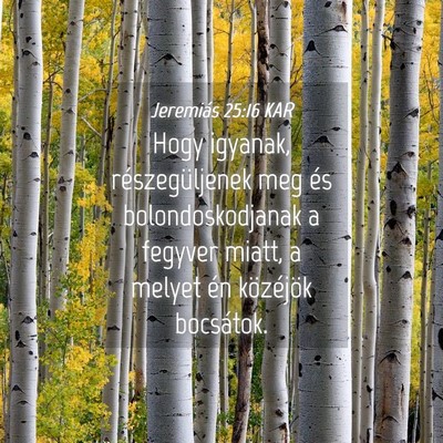 Picture 04 - Jeremiás 25:16 KAR - Hogy igyanak, részegüljenek meg és - Bible Verse Picture